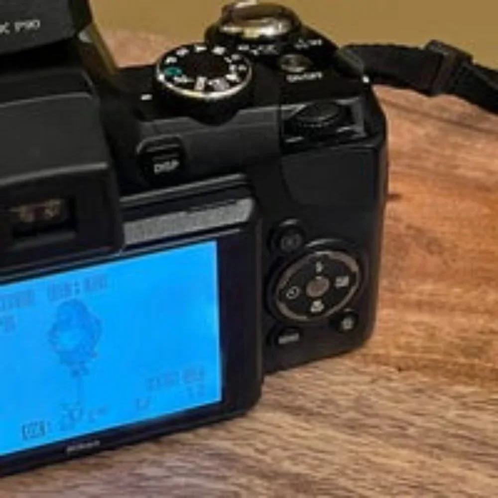 Nikon Coolpix P90 12.1MP Black Bridge Digital Camera